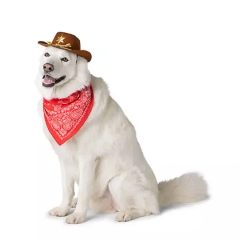PetSmart Thrills & Chills Cowboy Hat Bandana Dog Cat Costume L/XL